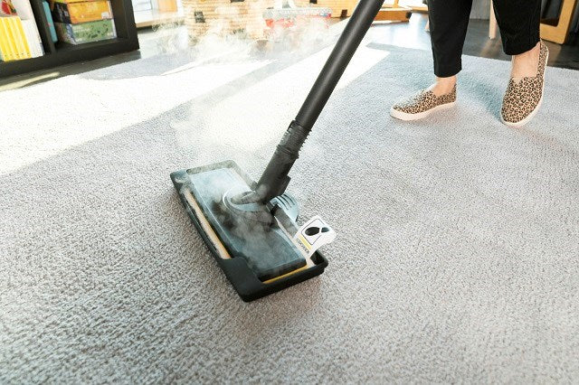 Parownica KARCHER SC 3 EasyFix Plus - 1.513-661.0